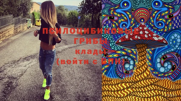 марки nbome Новозыбков